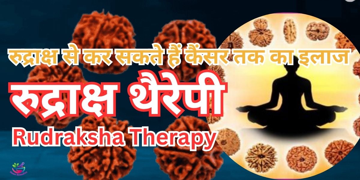 रुद्राक्ष थैरेपी (Rudraksha Therapy) कर सकती है दुनिया के किसी भी रोग का इलाज