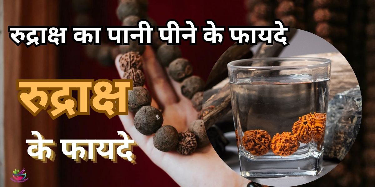 रुद्राक्ष का पानी पीने के फायदे | Benefits Of Drinking Rudraksha Water